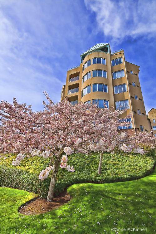 Condo in HDR