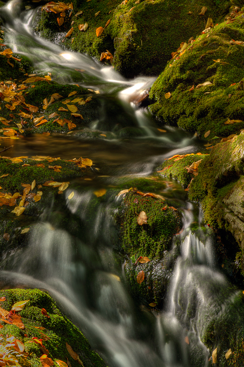 Dickson Falls, Fundy National Park, New Brunswick