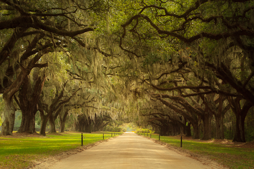 Boone Hall Plantation, Charleston, South Carolina