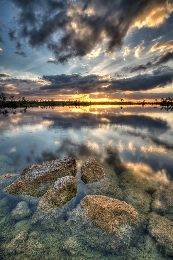 Pine Glades Lake, Everglades National Park, Florida