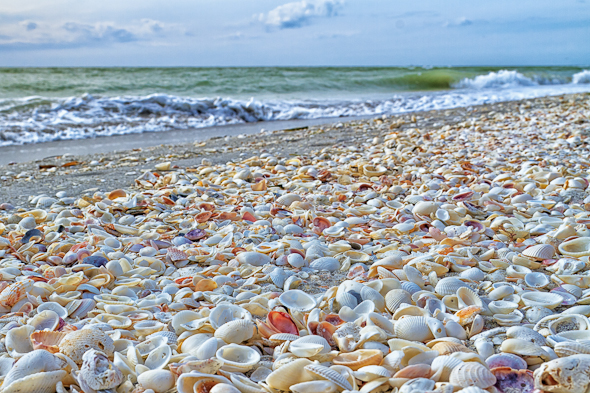 Beach on Sanibel Island, Florida