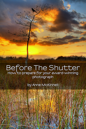 Before The Shutter: Free eBook Launched Today