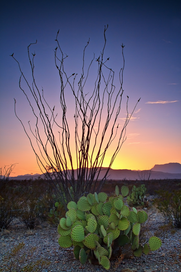 Big Bend National Park, Texas