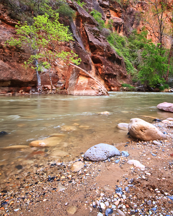 Virgin River, Zion National Park, Utah