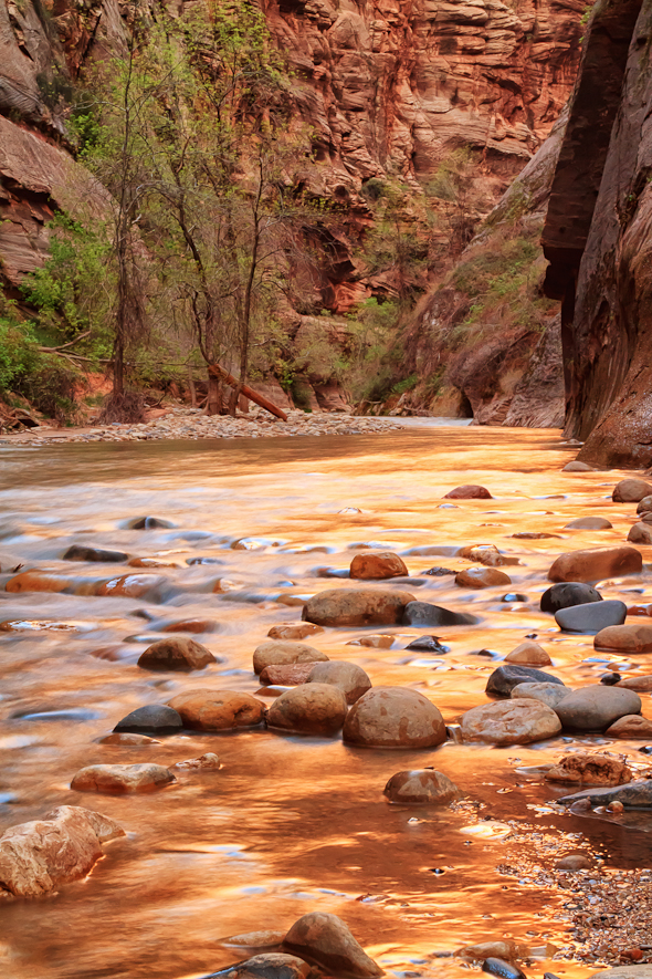 The Narrows, Zion National Park, Utah