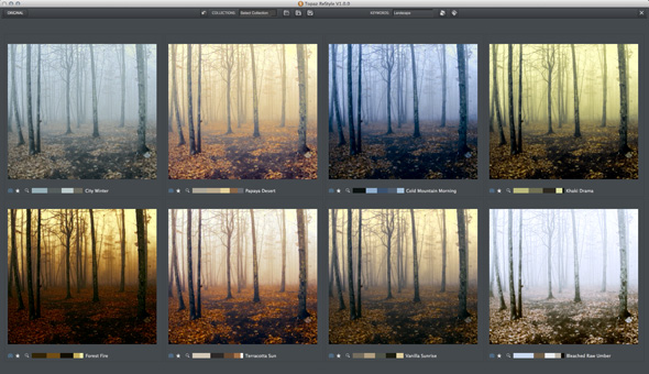 Topaz Restyle Grid
