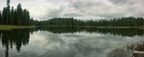George: Lassen Meadows Pan