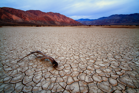Clark Dry Lake, Borrego Springs, California, by Anne McKinnell