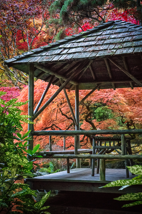 Japanese Garden at Butchart Gardens, Victoria, British Columbia