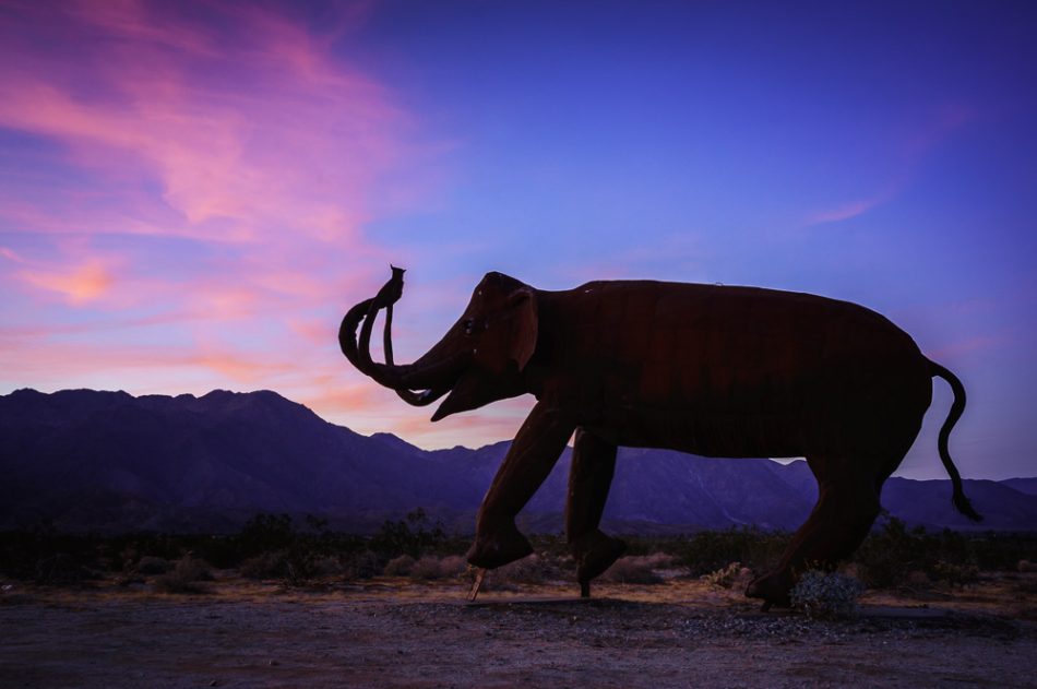 Elephant sculpture at sunset in Borrego Springs, California, by Anne McKinnell
