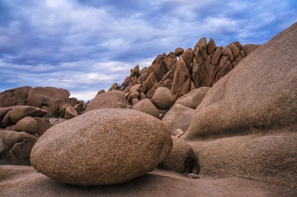 Jumbo Rocks, Joshua Tree National Park, California by Anne McKinnell