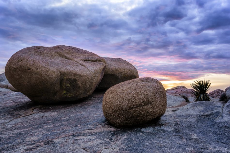 Jumbo Rocks by Anne McKinnell