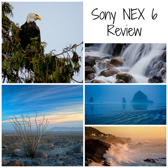 Sony NEX 6 digital camera review