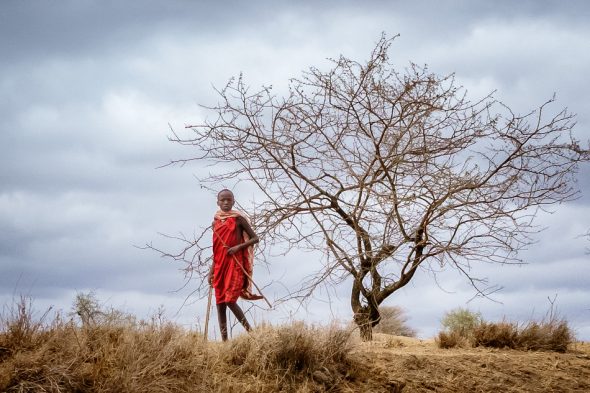 Maasai Boy by Anne McKinnell