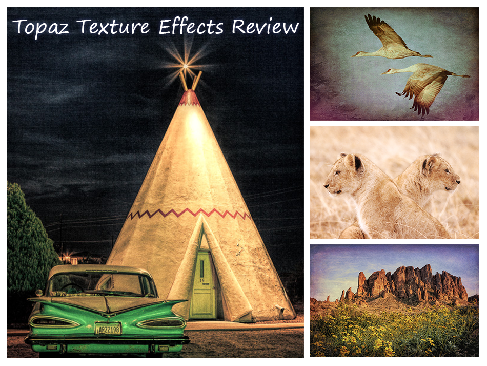 Topaz-Collage-text 1