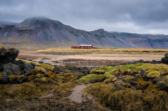 Red Barn in Budir by Anne McKinnell