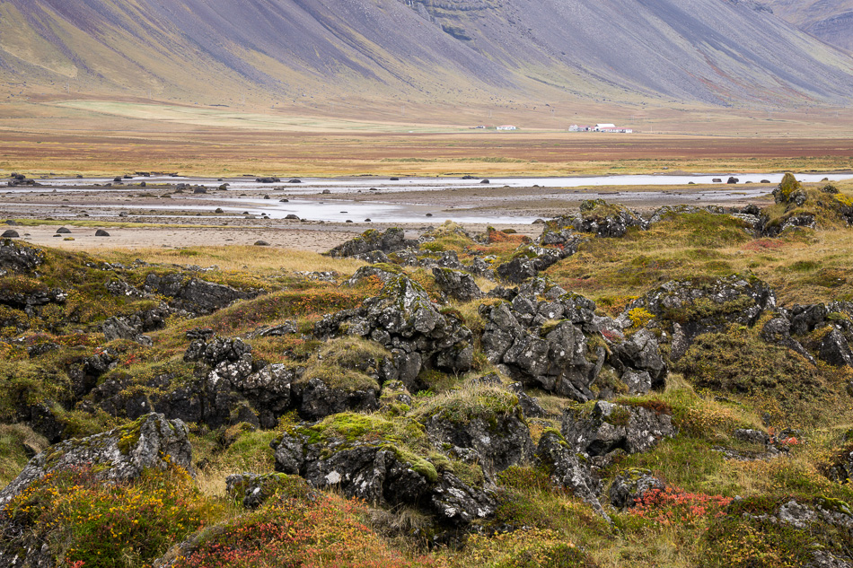 Lava in Budir by Anne McKinnell
