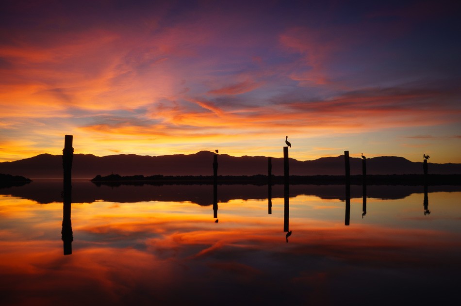 Salton Sea Moments by Anne McKinnell
