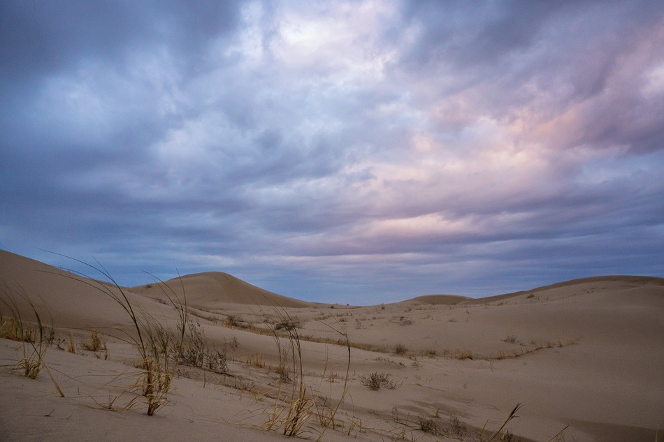 North Algodones Sand Dunes, California