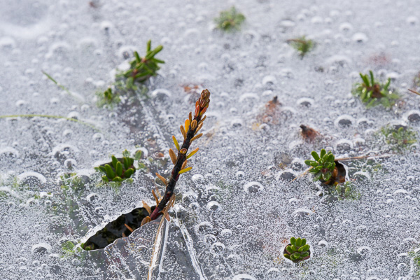 weather-ice