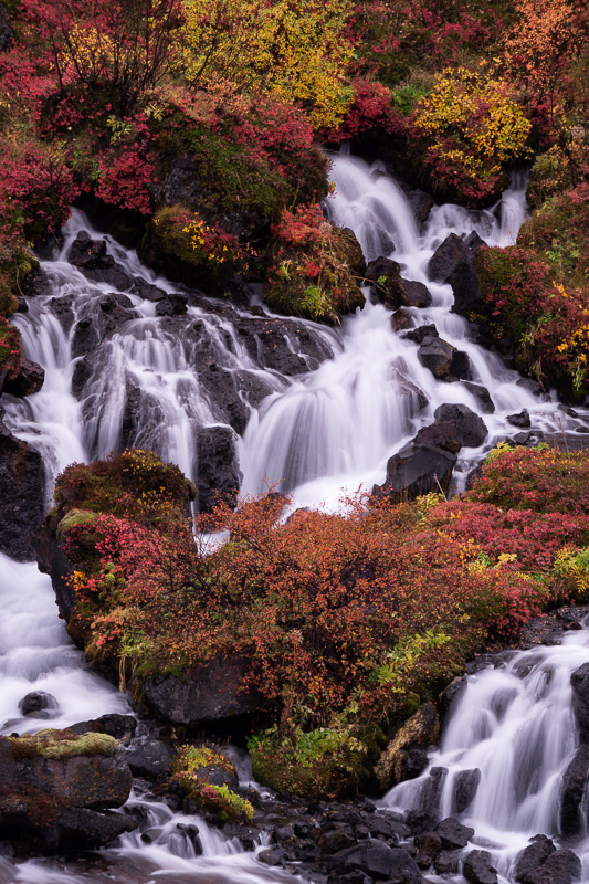 Hraunfosser Waterfall, Iceland by Anne McKinnell