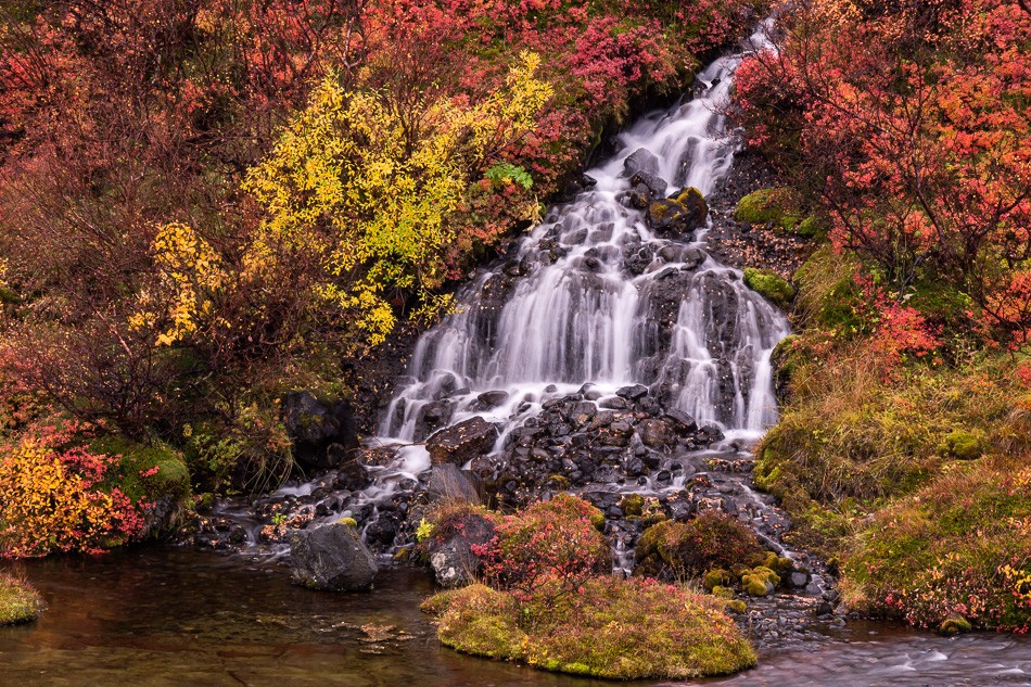 Hraunfosser Waterfall, Iceland by Anne McKinnell