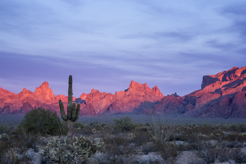Kofa National Wildlife Refuge, Arizona