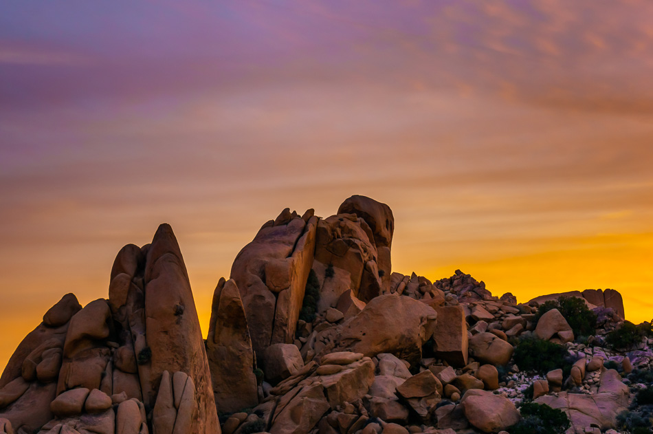 Sunset at Joshua Tree National Park, California by Anne McKinnell