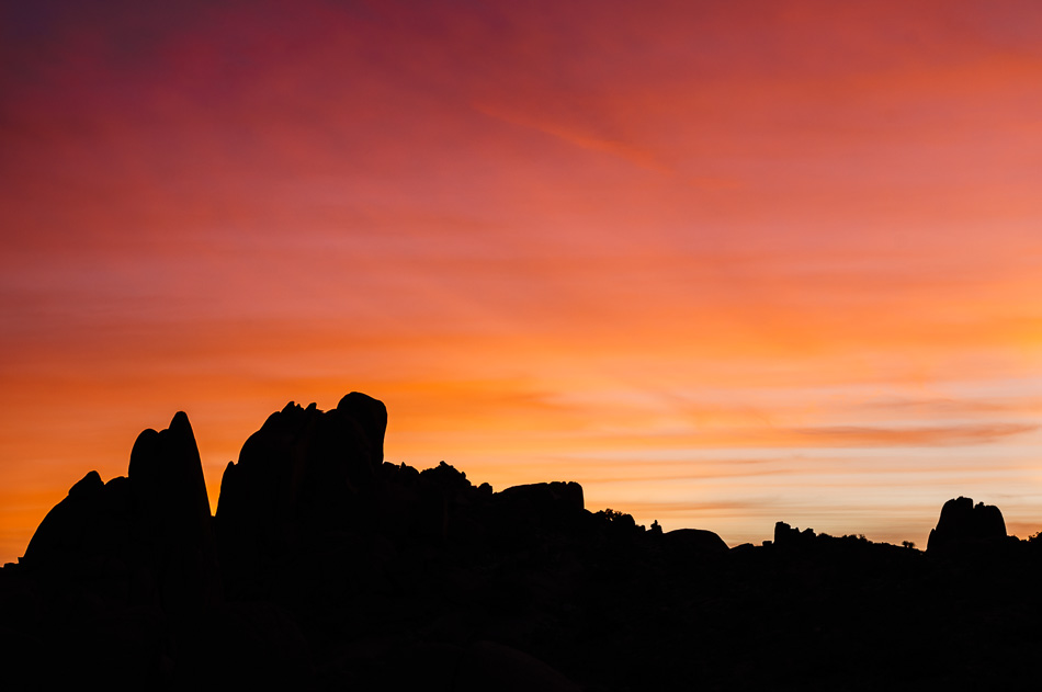 Sunset at Joshua Tree National Park, California by Anne McKinnell