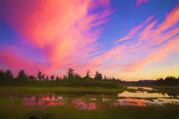 Estuary in Campbell River BC