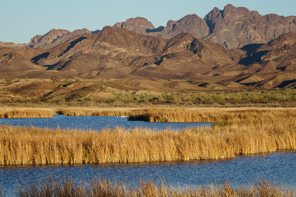 Cibola National Wildlife Refuge, Arizona