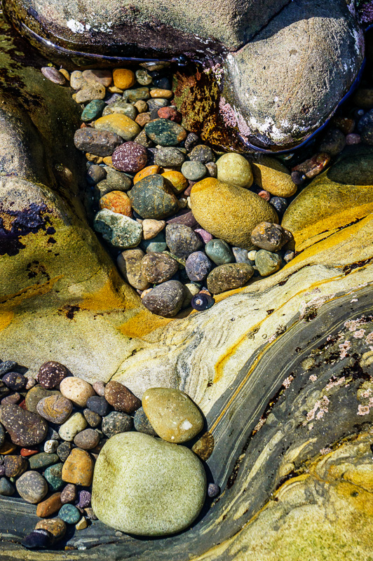 Weston Beach, California by Anne McKinnell
