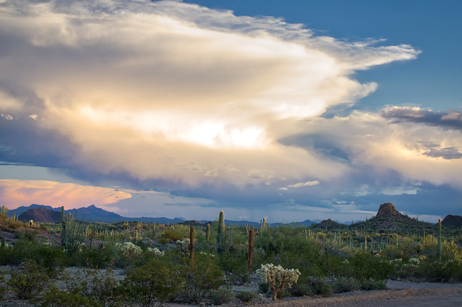 Ajo, Arizona