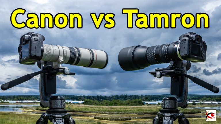 Canon 400mm f/5.6L vs. Tamron 150-600mm G2 Lenses for Wildlife Photography
