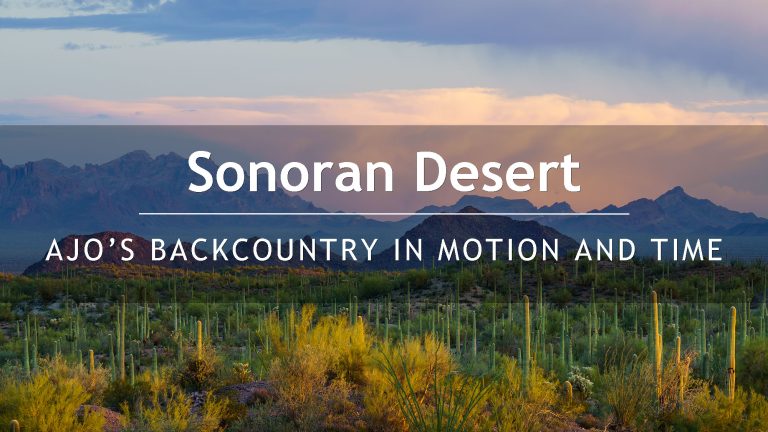 Sonoran Desert: Ajo’s Backcountry in Motion and Time