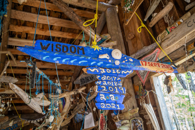 20230820-_DSC6122-2