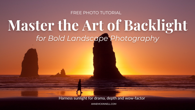 Master the Art of Backlight for Bold Landscape Photography