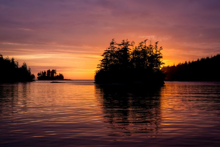 Dusky Cove: Sleep Lost and Beauty Gained