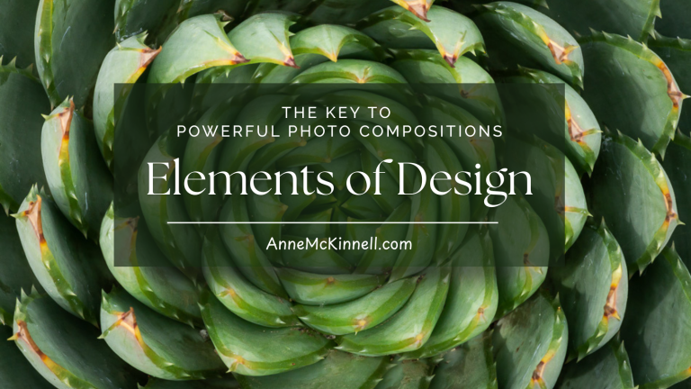 The Elements of Design: Keys to Powerful Photo Composition