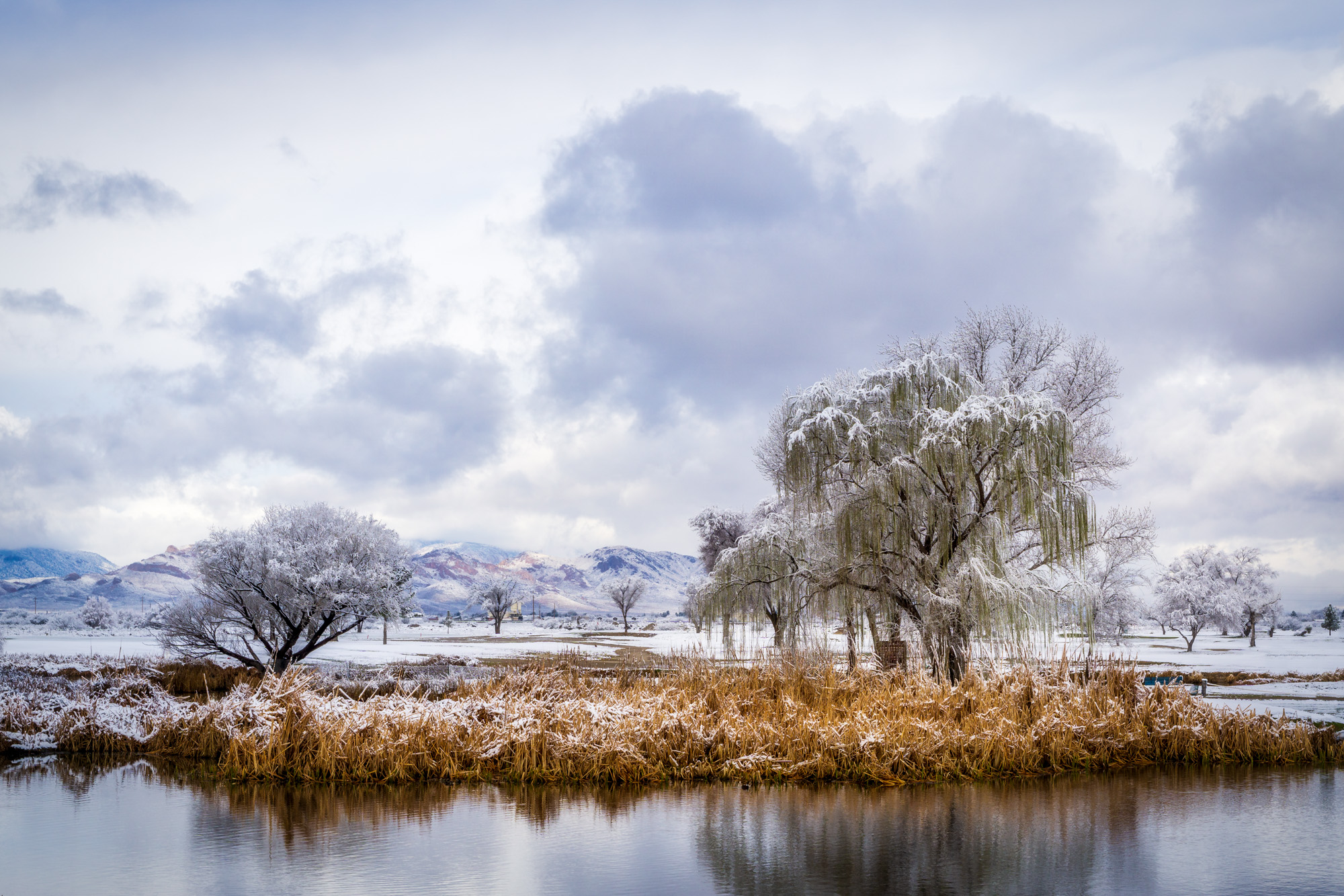 20190219-_DSC0704-Edit